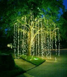 Starry Fairy LED Lights